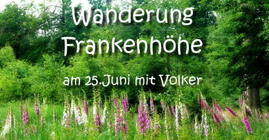 Bericht Bilder und Impressionen Wanderung FrankenhÃƒÆ’Ã†â€™Ãƒâ€šÃ‚Â¶he mit Volker am 25Juni21