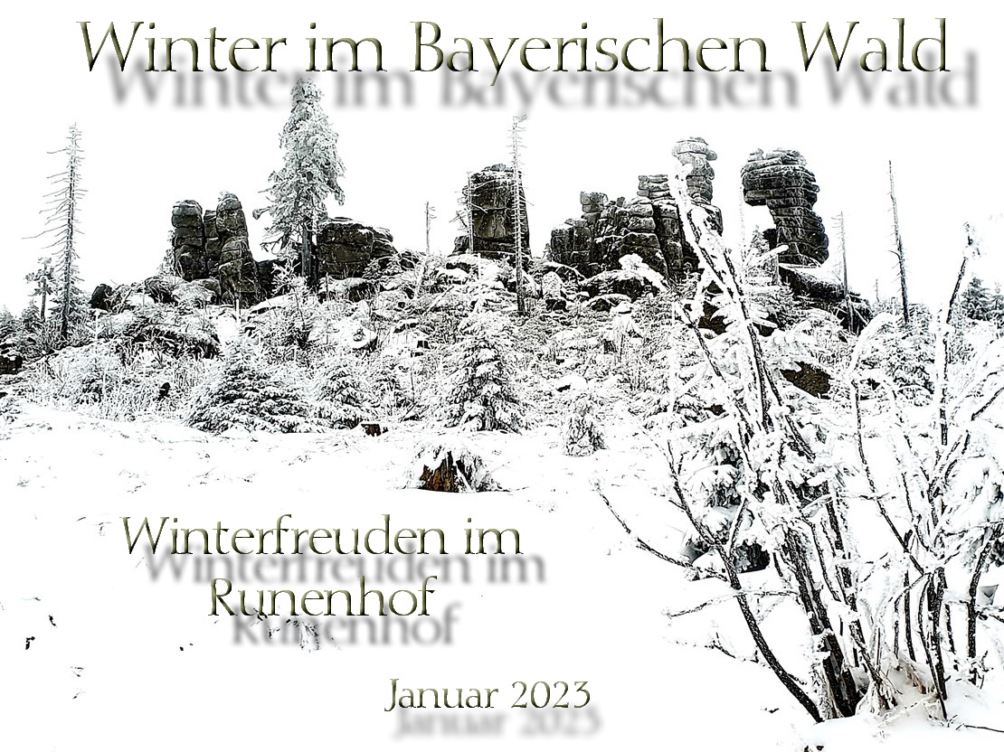 Winterfreuden in Schnellenzipf 23