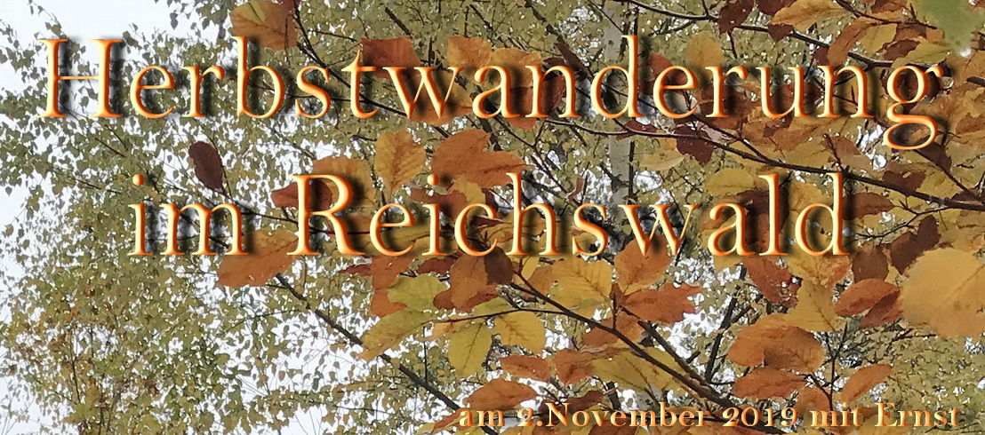 Herbstwanderung im Reichswald Nov.2019 mit Ernst Bayerlein