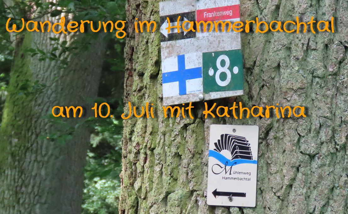 Wanderung im Hammerbachtal am 10.Juli 21 mit Katharina