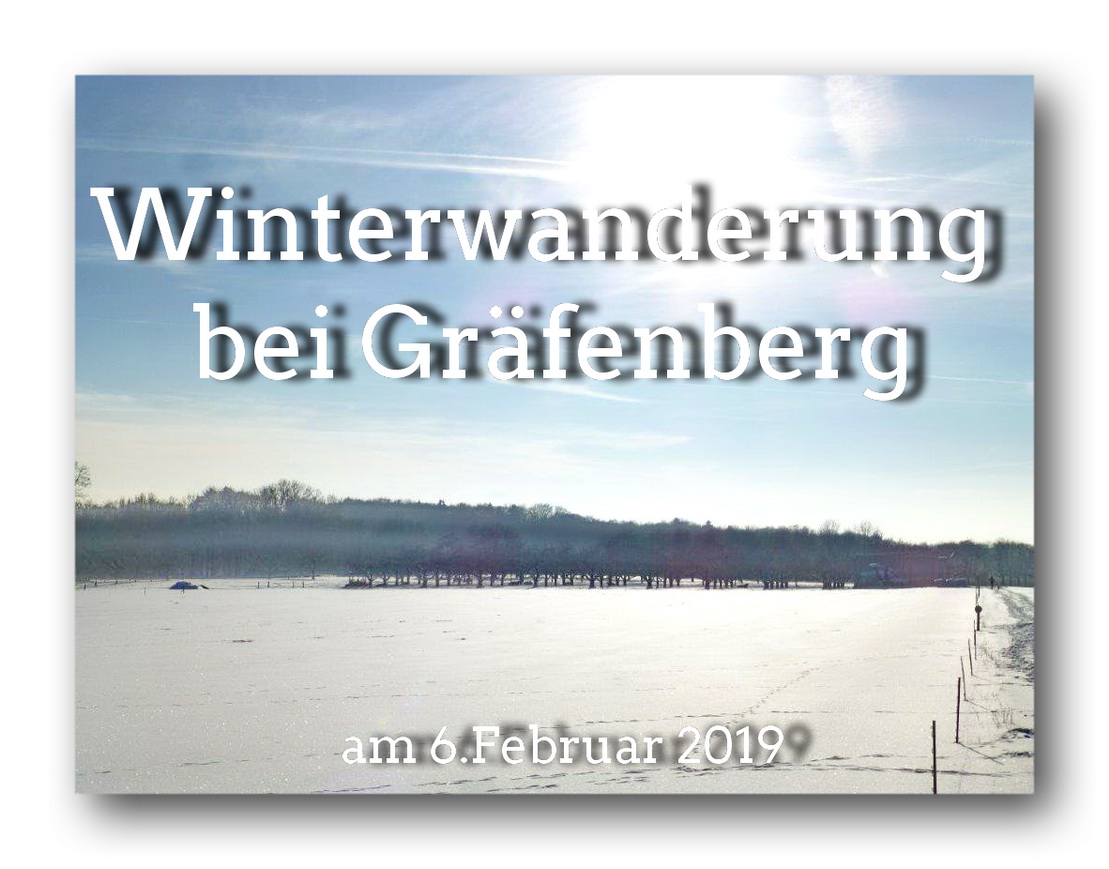 Winterwanderung bei Gräfenberg mit Wilfried am 6.Februar19