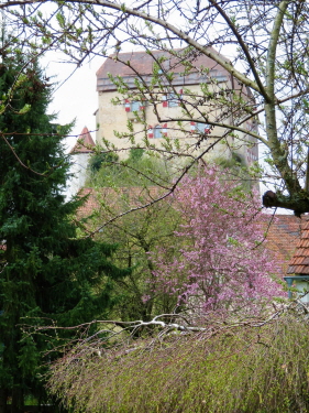 16 Burg Hiltpoltstein mit Frühlingsblüten